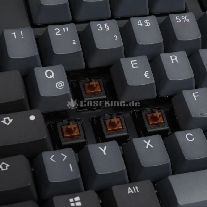 Ducky One 2 TKL Skyline PBT grau, MX BROWN, USB, DE