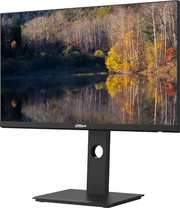 Dahua LM24-P301A, 23.8"