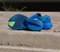 adidas Adizero Adios Pro 4 blue/cloud white/lime burst (Herren) Vorschaubild