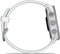 Garmin Forerunner 170 whitestone/whitestone-cloud blue Vorschaubild