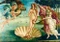 Bluebird Puzzle Sandro Botticelli Vorschaubild