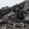 adidas Terrex Skychaser Tech GTX core black/grey one/grey five Vorschaubild