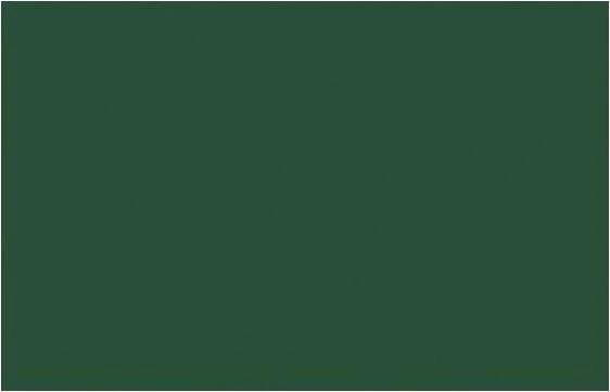 Liquitex Professional Spray Paint hooker's green hue permanent, 400ml