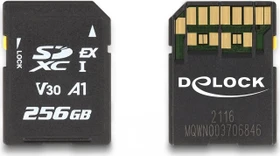 DeLOCK R858/W804 256GB, SD Express EX I