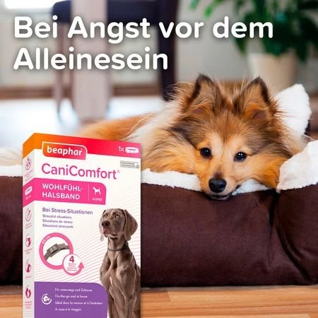 beaphar CaniComfort Pheromon Wohlfühl-Halsband 65cm, 1 Stück