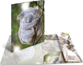 Herma Glossy Tiere Sammelmappe, A4, Koala, 3er-Pack