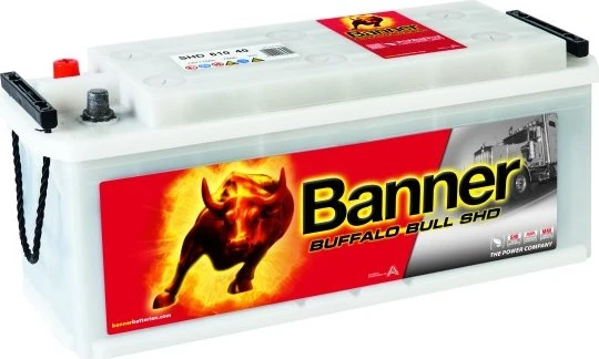 Banner Buffalo Bull SHD 61040