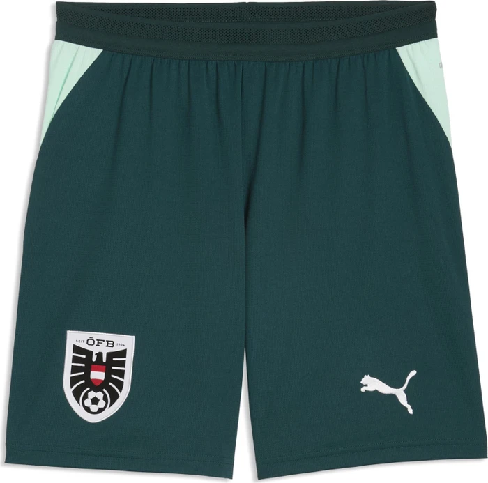 Puma FIFA WM 2026 Österreich Auswärtsshorts (Herren)
