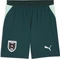 Puma FIFA WM 2026 Österreich Auswärtsshorts (Herren) Vorschaubild