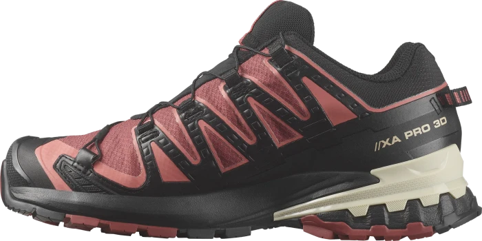 Salomon XA Pro 3D V9 GTX cow hide/black/faded rose (Damen)