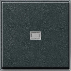 Gira TX_44 Wippe mit Kontrollfenster, anthrazit