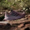 adidas Terrex Soulstride Flow GTX burgundy/core black/pink fusion (Damen) Vorschaubild