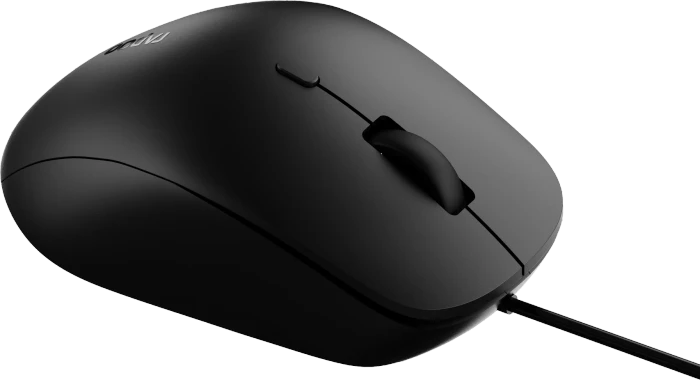 Rapoo N500 Silent Mouse schwarz, USB