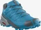 Salomon Speedcross 5 hawaiian ocean/stormy weather/quarry (Herren) Vorschaubild