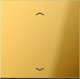 Jung Serie LS LB-Management Taster 1fach Metall mit Pfeilsymbol, goldfarben