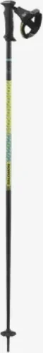 Salomon Polar Prime Ergo S3 Alpin Skistock gradient (Modell 2023/2024)