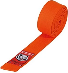 DanRho Budo Gürtel orange