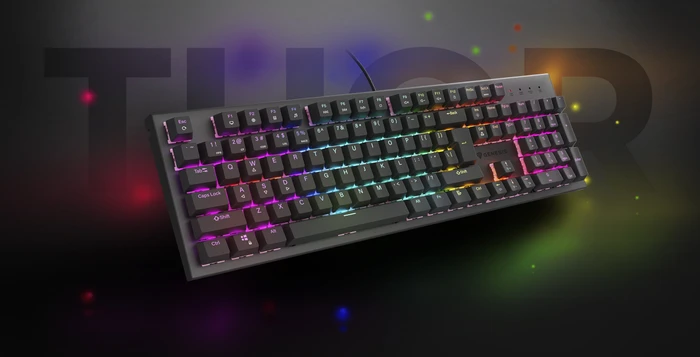 Genesis Thor 303, schwarz, LEDs RGB, hot-swap, Gaote Outemu BROWN, USB, DE