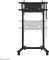 Neomounts FL55-975BL1 Vorschaubild