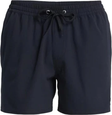 Quiksilver Everyday Flex 15" Badeshorts schwarz (Herren)