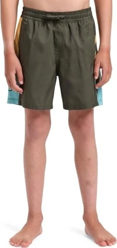 Quiksilver Everyday Holmes 14" Badeshorts grape leaf (Junior)
