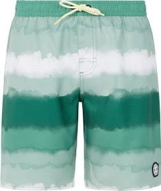 Protest Abel Badeshorts frosty green (Junior)