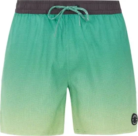 Protest Erin Badeshorts frosty green (Herren)