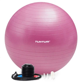 Tunturi Anti Burst 65cm Gymnastikball lila