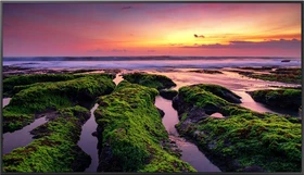Samsung QB75B, 75"