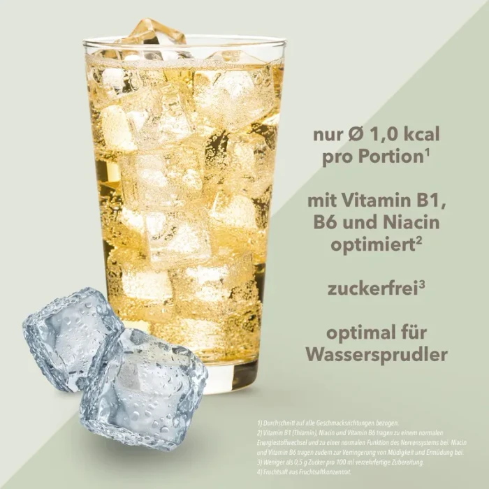 Best Body Nutrition Vital Drink Zerop Ginger Ale 48ml