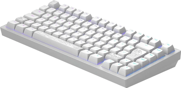 Dark Project ALU81A Terra Nostra Gaming Keyboard, weiß, LEDs RGB, g3ms Moonstone, USB, DE