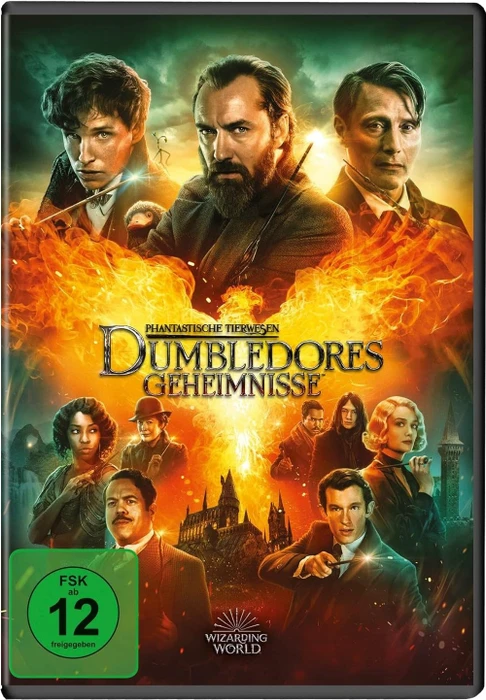 Phantastische Tierwesen: Dumbledores Geheimnisse (DVD)