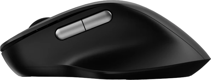 Rapoo M50 Plus Silent Wireless Mouse schwarz, USB