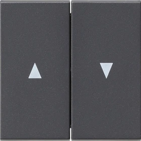 Gira Wippe 2fach mit Pfeilsymbol, anthrazit