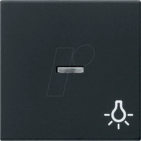 Gira System 55 Wippe mit Kontrollfenster und Symbol Licht, schwarz matt