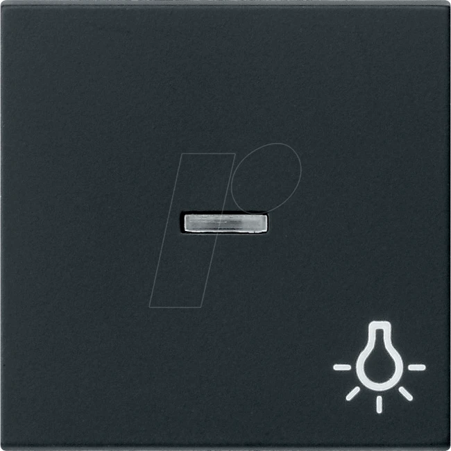 Gira System 55 Wippe mit Kontrollfenster und Symbol Licht, schwarz matt