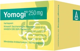 Yomogi 250mg Hartkapseln, 100 Stück