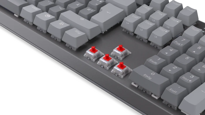 Endorfy Thock V2, PBT, grau, LEDs RGB, hot-swap, Endorfy RED, USB, DE
