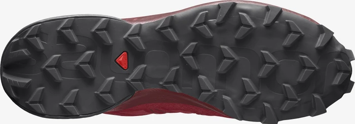 Salomon Speedcross 5 barbados cherry/black/red dahlia (Herren)