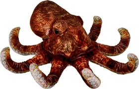 Coppenrath Nature Zoom Wild - Oktopus 30cm