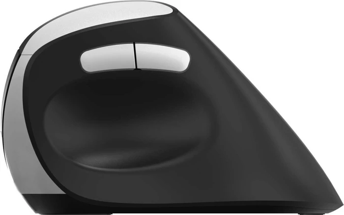 Rapoo EV250 Silent Ergonomic Wireless Mouse schwarz/silber, USB