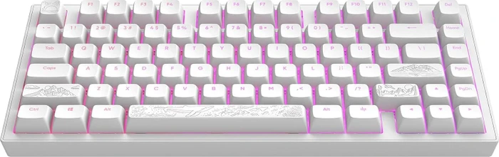 Dark Project ALU81A Terra Nostra Gaming Keyboard, weiß, LEDs RGB, g3ms Moonstone, USB, US