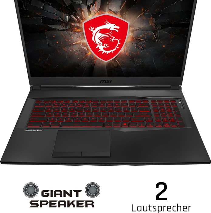 MSI GL75 Leopard 10SER-030DE, Core i7-10750H, 16GB RAM, 256GB SSD, 1TB HDD, GeForce RTX 2060, DE