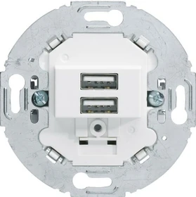 Berker Serie 1930/Glas/R.classic USB Ladesteckdose, polarweiß