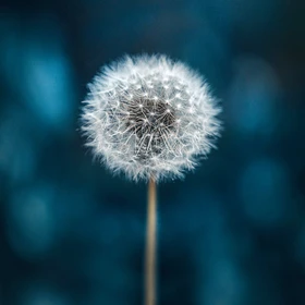 Clementoni Frame me up Make a wish