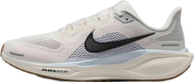 Nike Pegasus 41 sail/blue tint/wolf grey/anthracite (Herren)