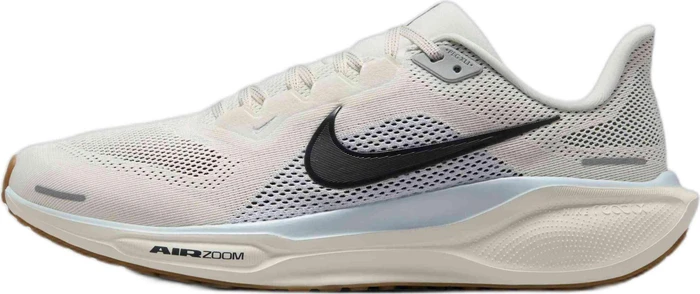 Nike Pegasus 41 sail/blue tint/wolf grey/anthracite (Herren)