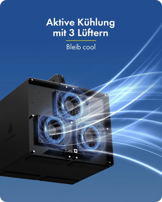 RaidSonic Icy Box IB-3710-C31, Diamond Case 3710, 10x 2.5"/3.5", USB-C 3.1