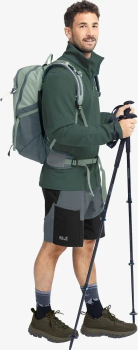 Jack Wolfskin Ridge Hike Fz Jacke sago palm (Herren)