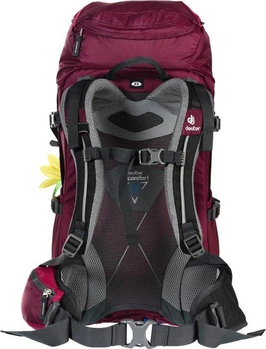 Deuter Futura 24 SL blackberry/magenta (Damen)